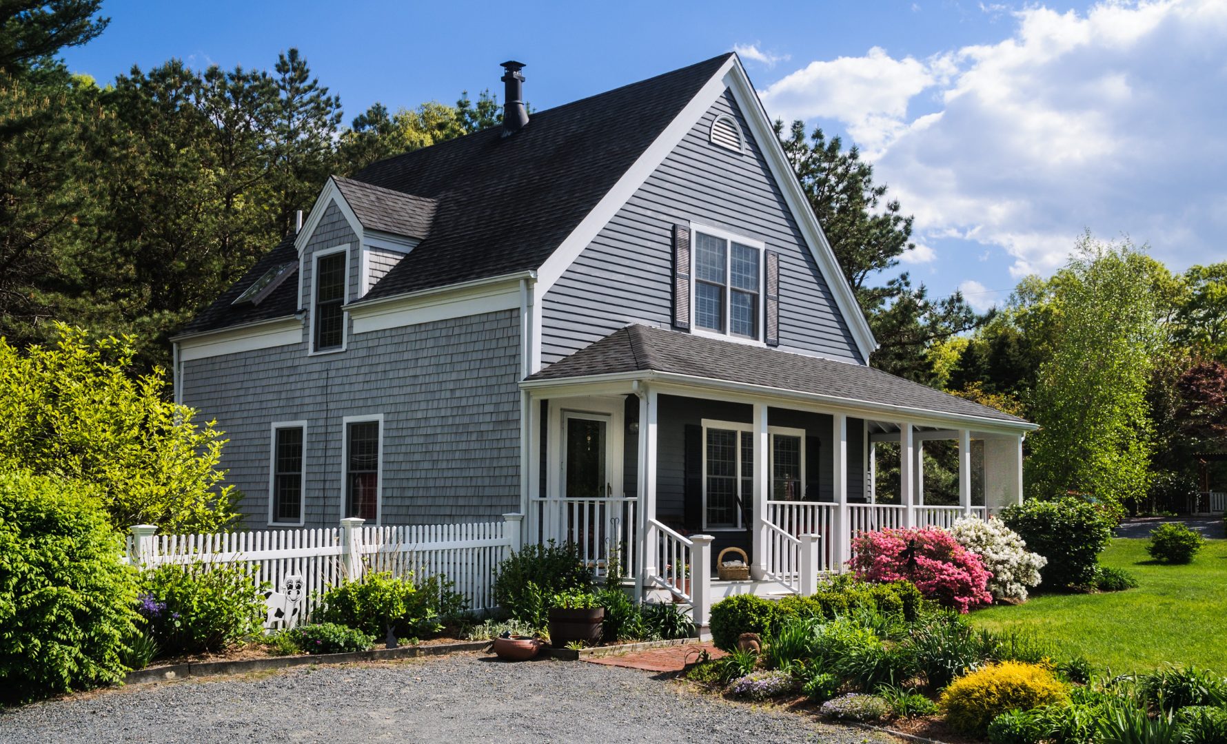 Paul Website WIDE Images (1)